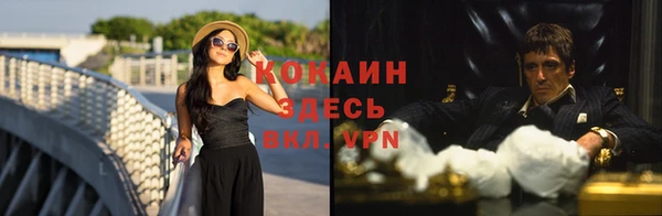 твердый Алексин