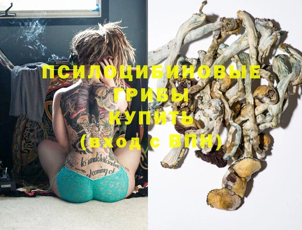 круглые Алзамай