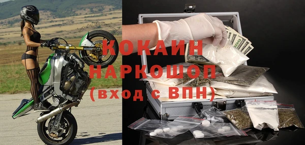 твердый Алексин