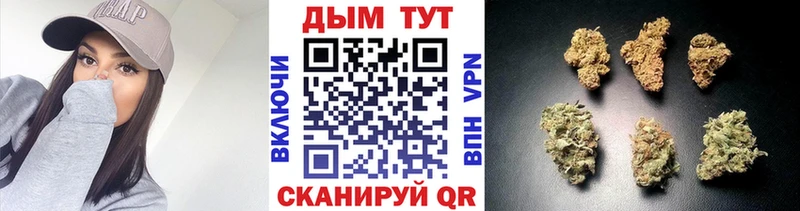 наркотики  Харовск  Бошки Шишки марихуана 